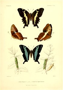 n122_w1150