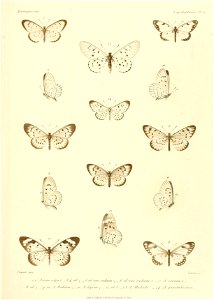 n406_w1150