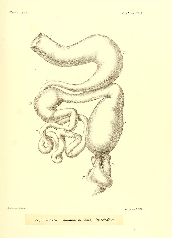 n166_w1150