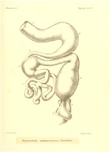 n166_w1150