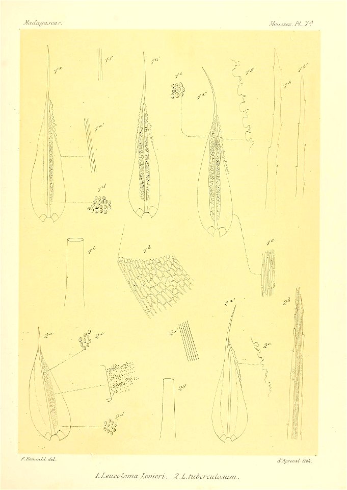 n596_w1150