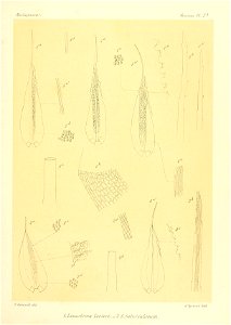 n596_w1150