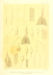 n714_w1150