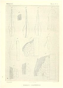 n684_w1150