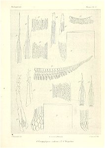 n654_w1150