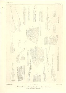 n594_w1150