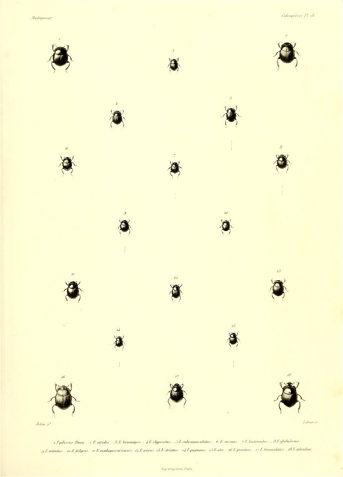 n564_w1150