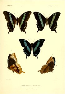 n118_w1150