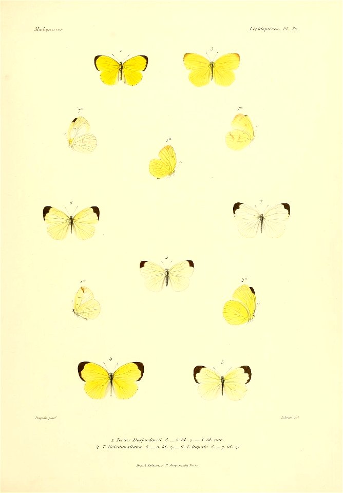 n88_w1150