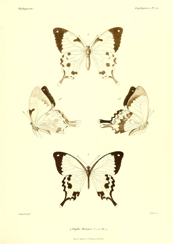 n492_w1150