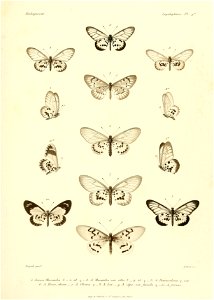 n402_w1150