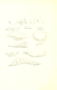 n13_w1150