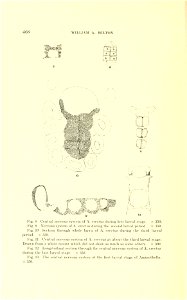 n123_w1150