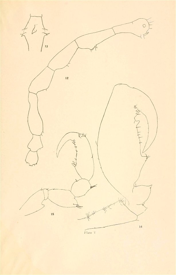 n132_w1150