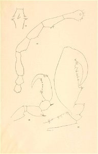 n132_w1150