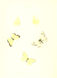 n165_w1150