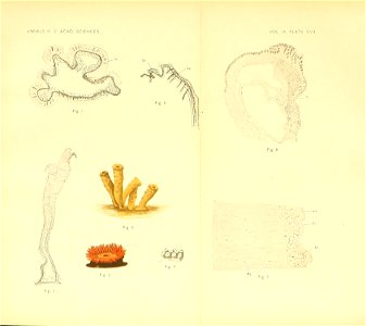 n162_w1150
