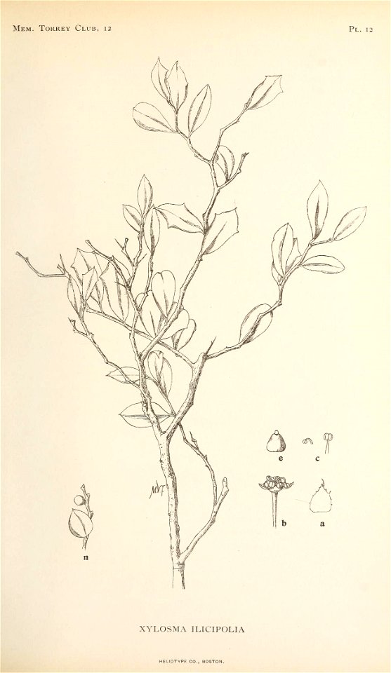 n242_w1150