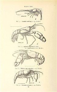 n141_w1150