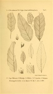n152_w1150
