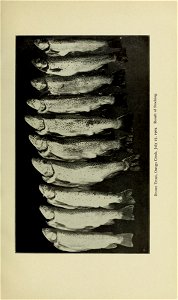 n316_w1150