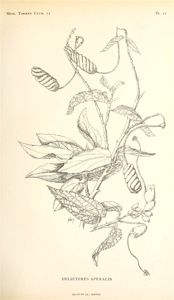 n238_w1150