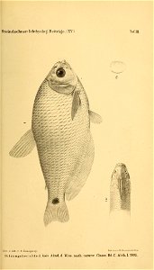 n434_w1150