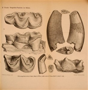 n688_w1150