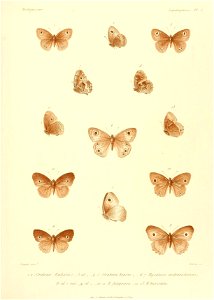 n388_w1150