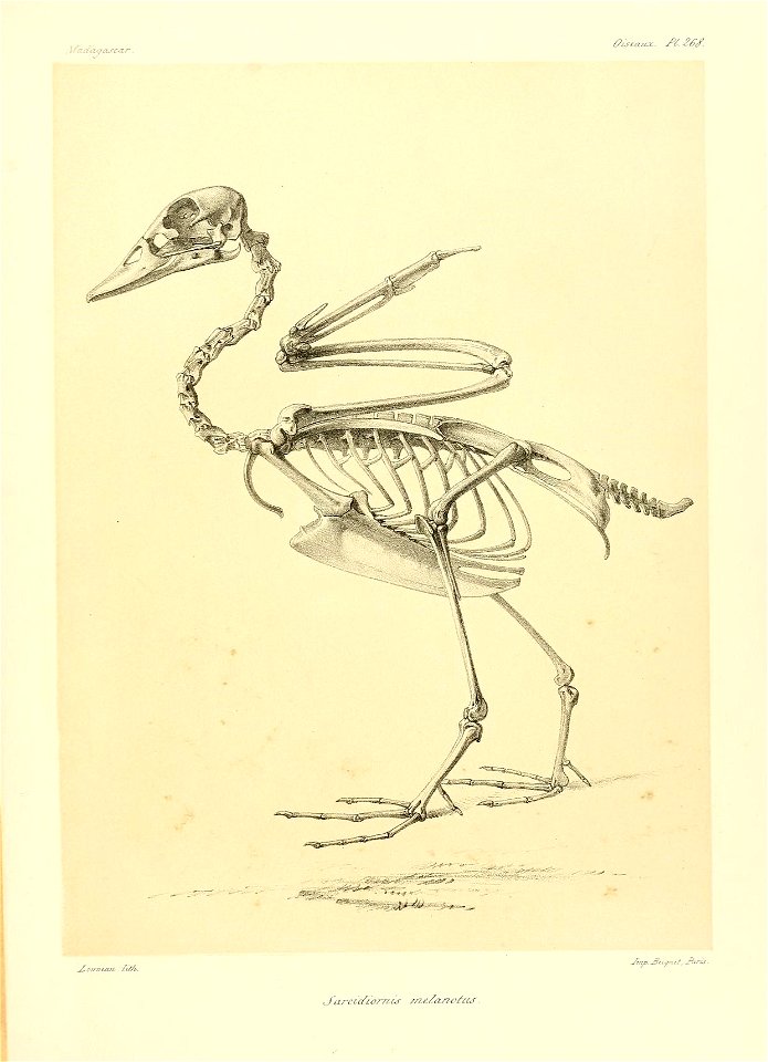 n156_w1150