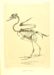n156_w1150