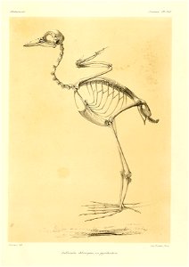 n96_w1150