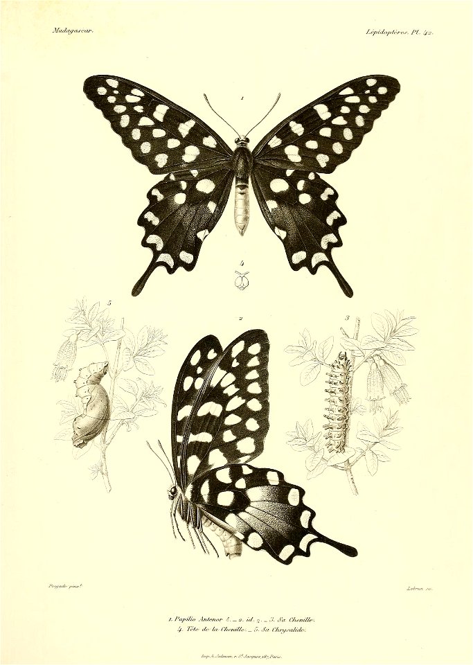 n476_w1150