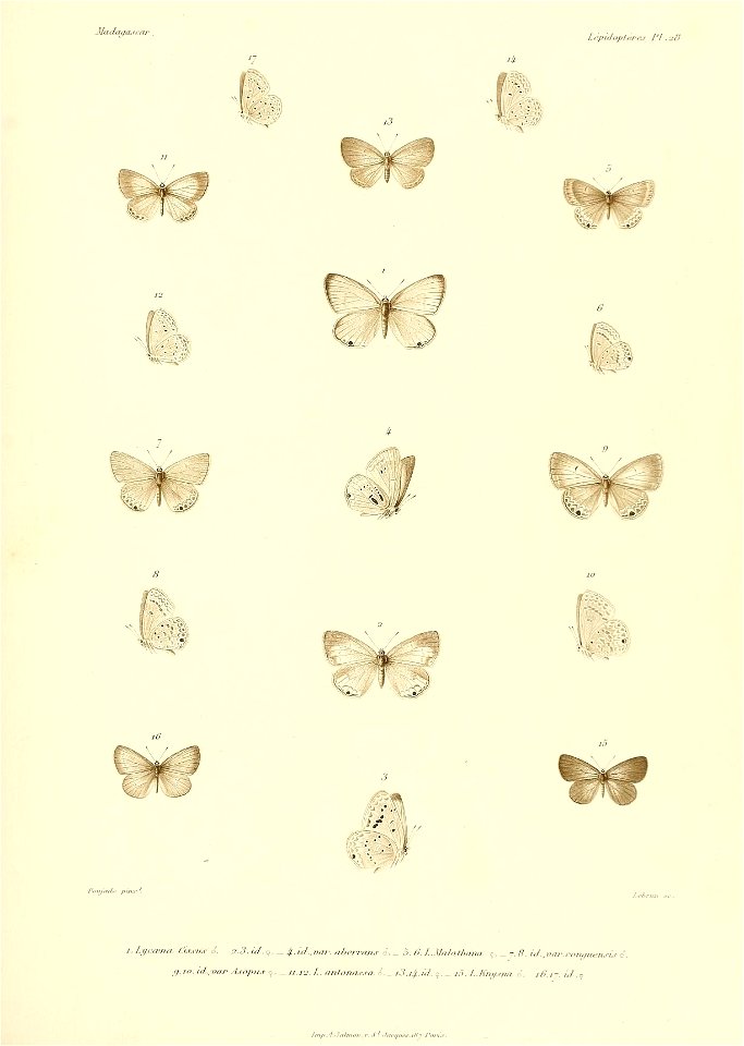 n446_w1150