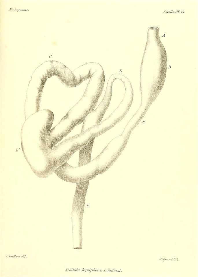 n134_w1150