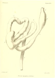 n134_w1150