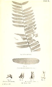 n712_w1150