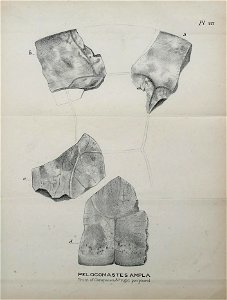 n198_w1150