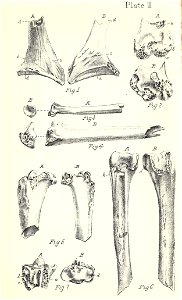 n342_w1150