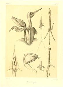 n122_w1150