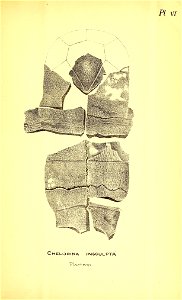 n194_w1150