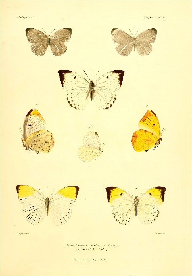 n98_w1150