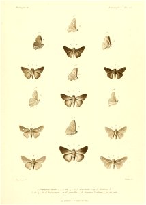 n502_w1150