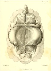 n130_w1150