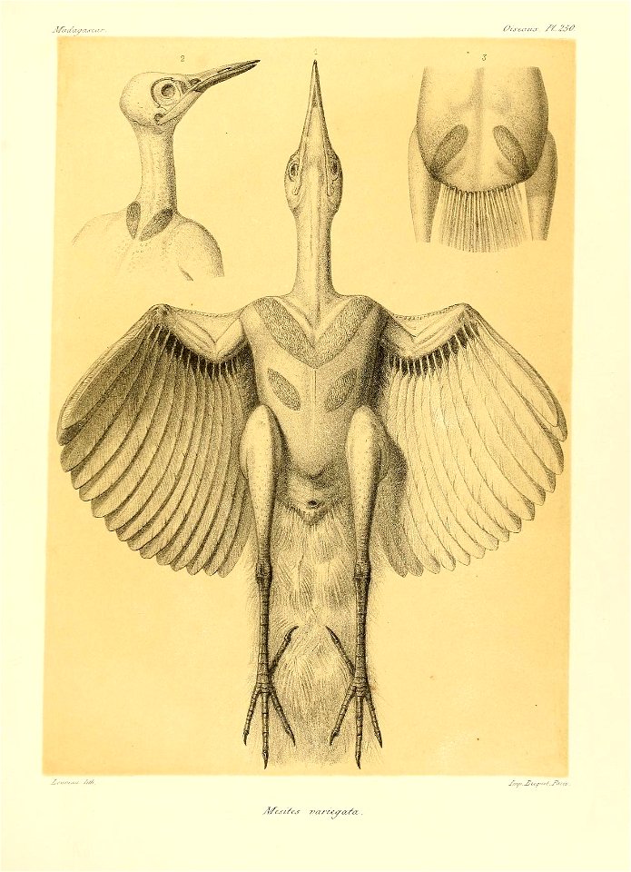n120_w1150