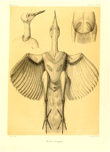n120_w1150