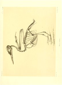 n208_w1150