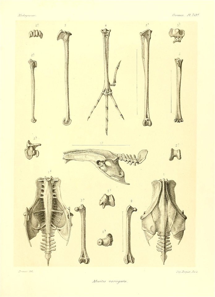n118_w1150