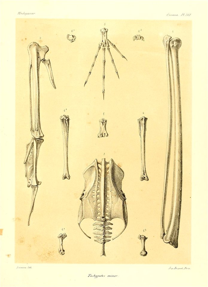 n206_w1150
