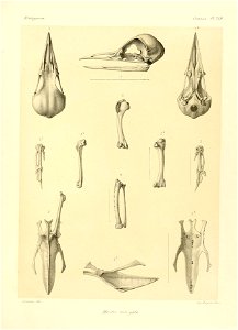 n116_w1150